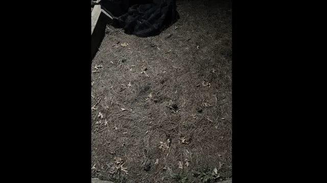 help-princess-find-her-frog-prince-in-under-10-seconds